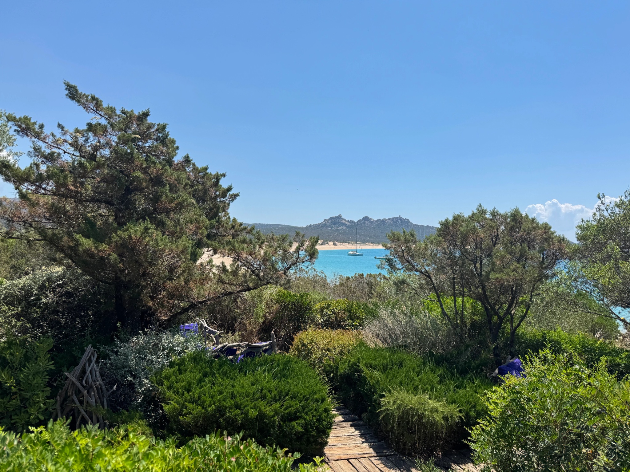 Vue sur la baie de Murtoli en Corse du Sud, entre maquis sauvage et eaux turquoise de Méditerranée.